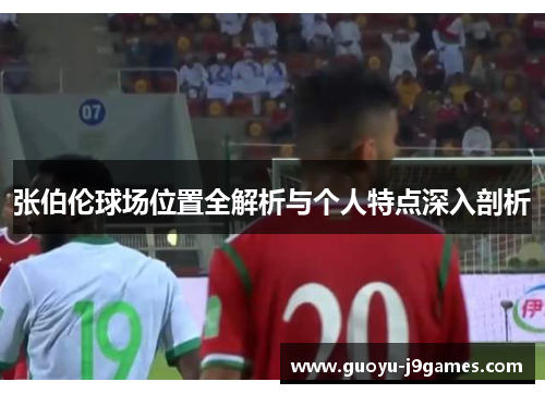 张伯伦球场位置全解析与个人特点深入剖析